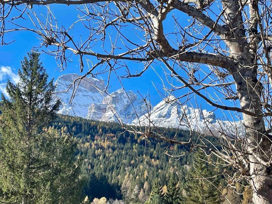 Home In Dolomiti Villanova  ภายนอก รูปภาพ